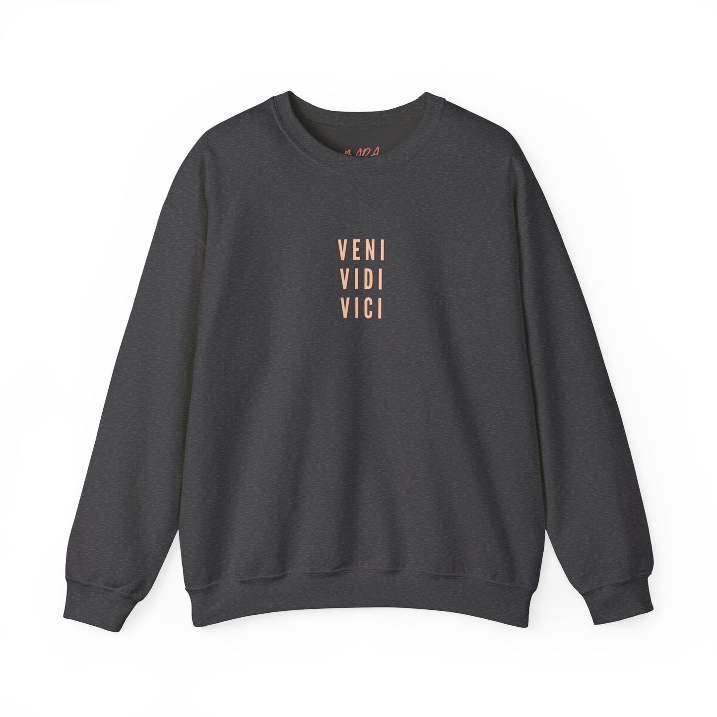 Dark gray sweatshirt with 'VENI VIDI VICI' text on a white background