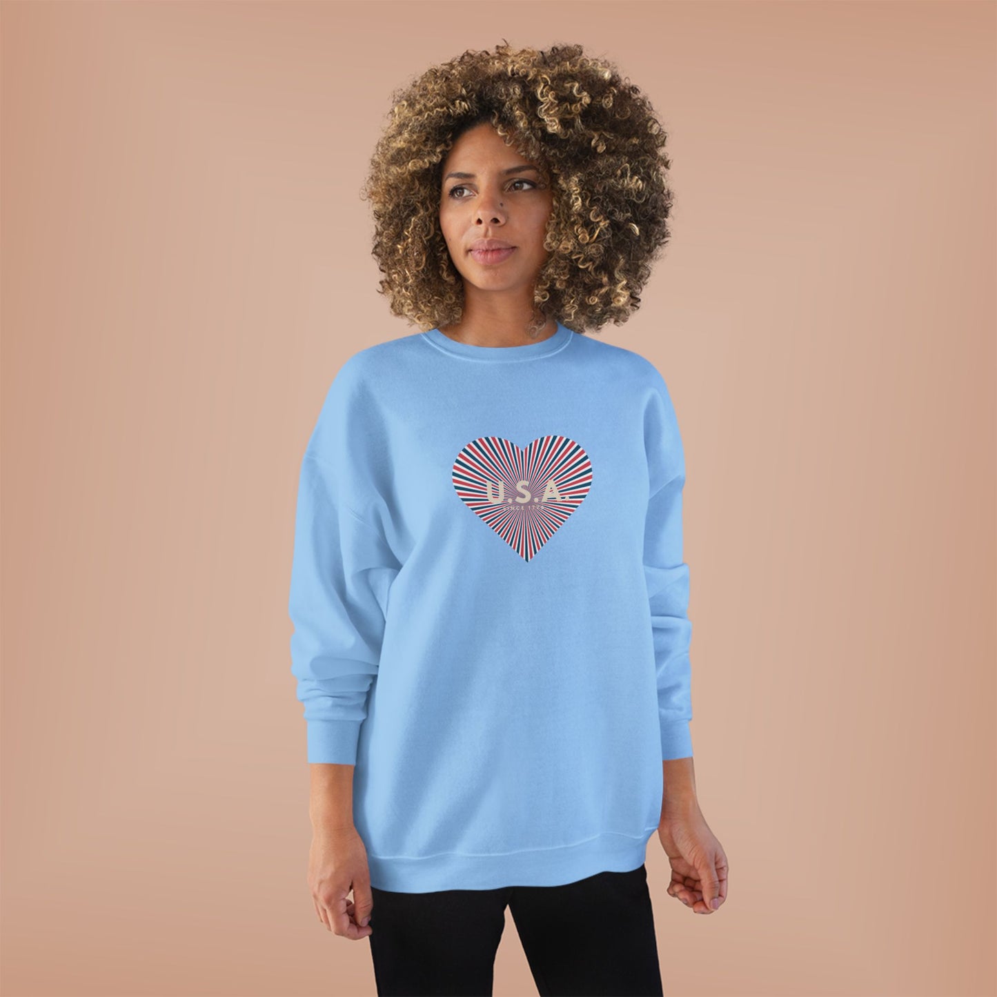 Cute AMERICAN Pride Sweatshirt, Red, White and Blue