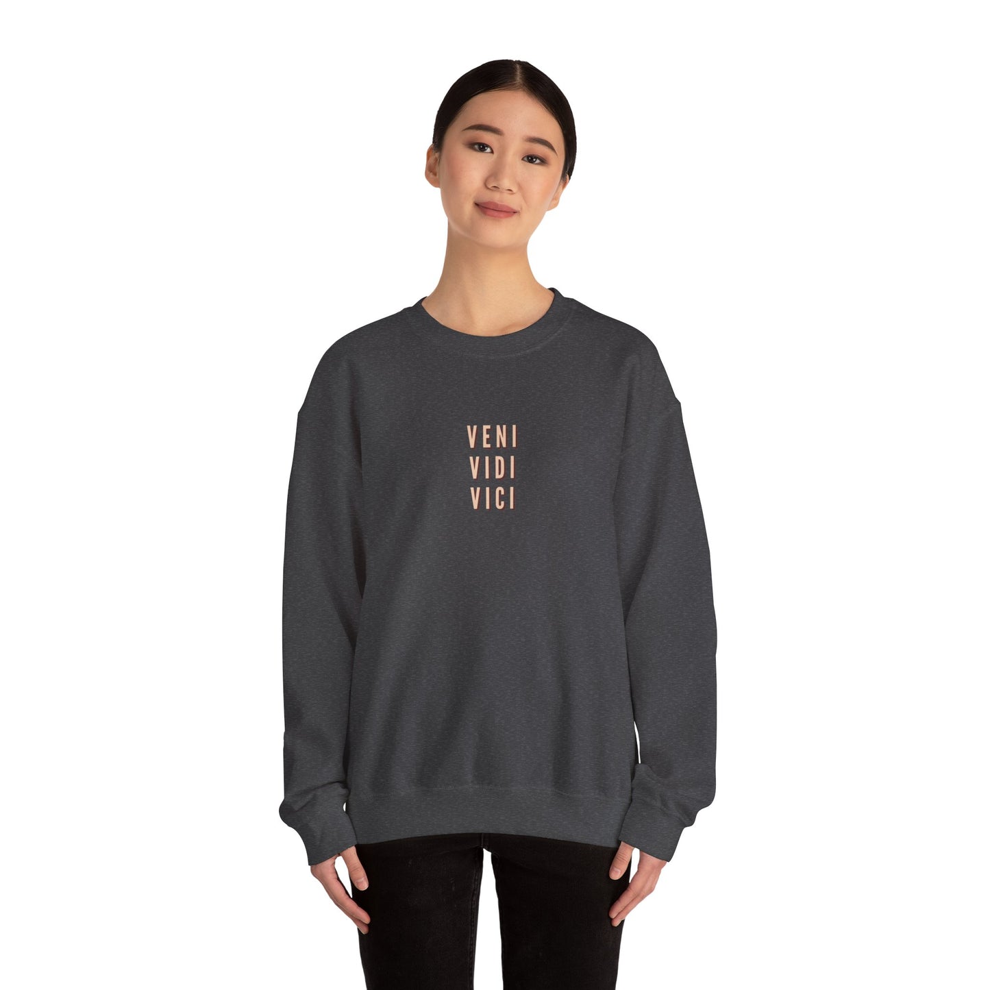 Traveler Crewneck Sweatshirt - Veni, Vidi, Vici Collection