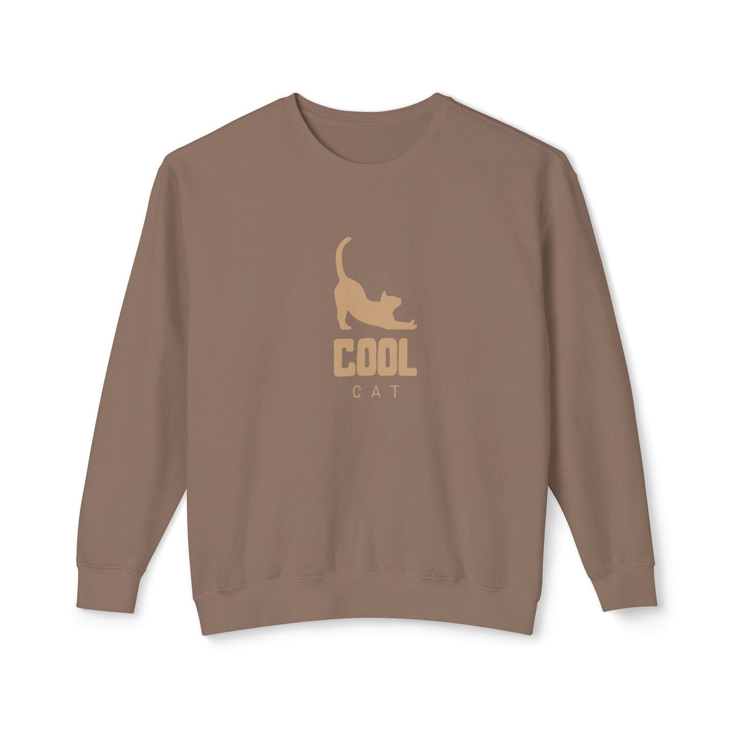 Brown sweatshirt with 'Cool Cat' text and cat graphic on a white background