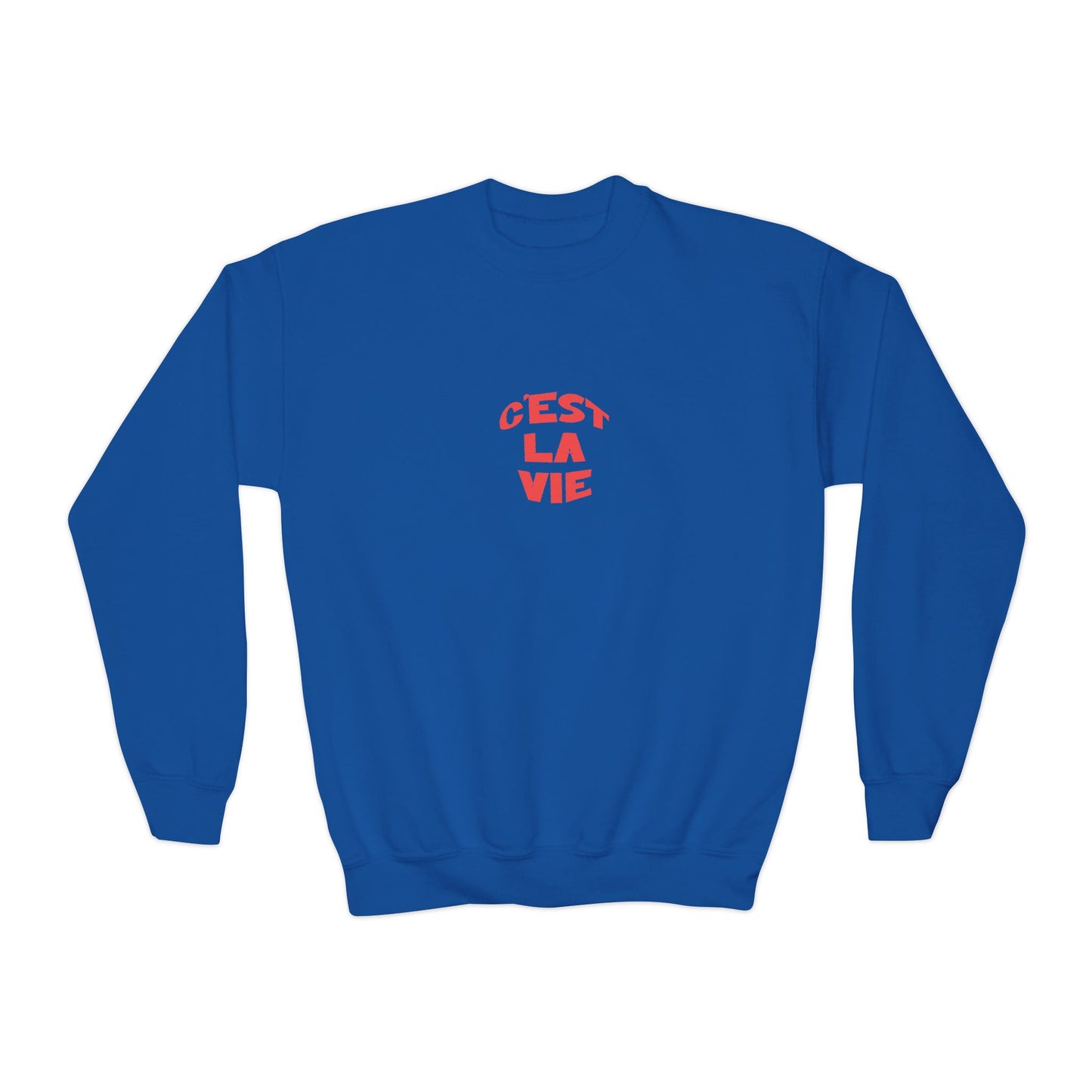 Blue sweatshirt with red text 'Cést La Vie' on a white background