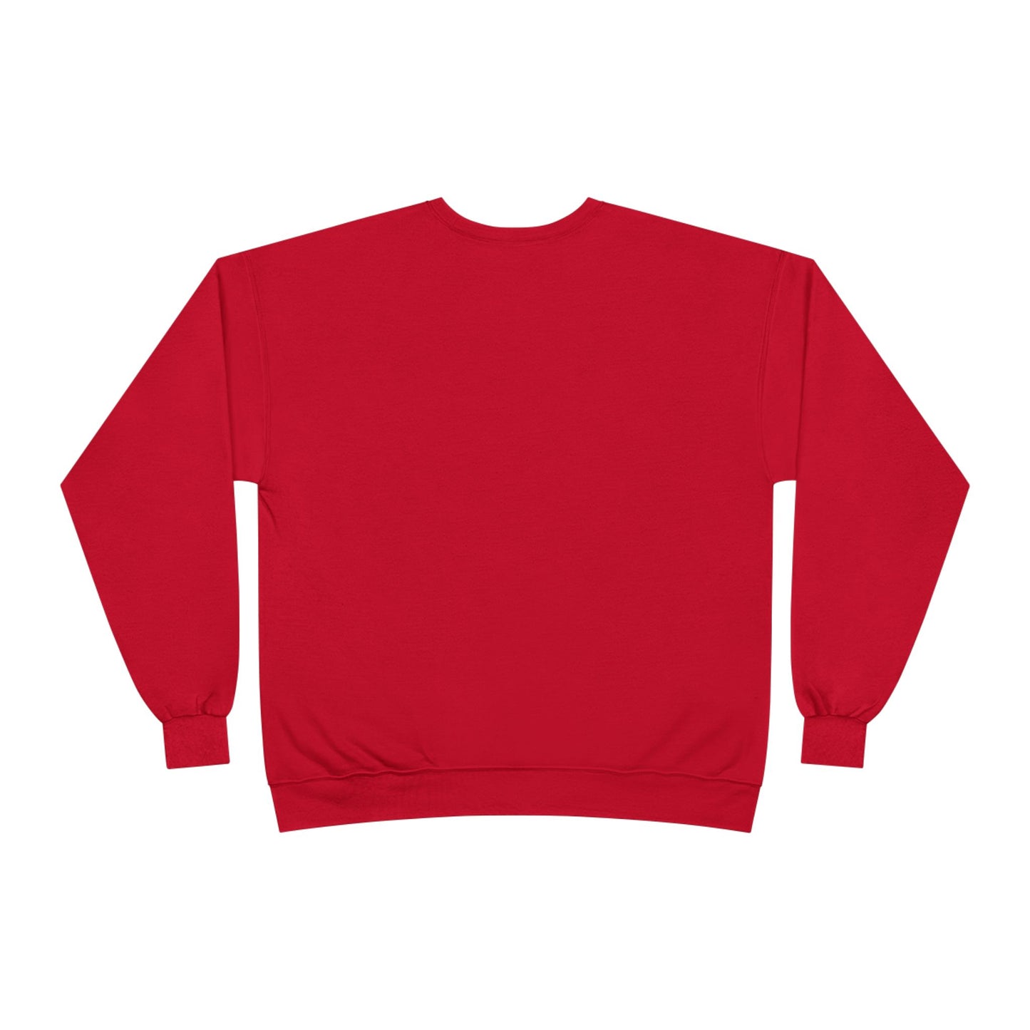 Bold CHEETAH Crewneck Sweatshirt, Wild + Free Women