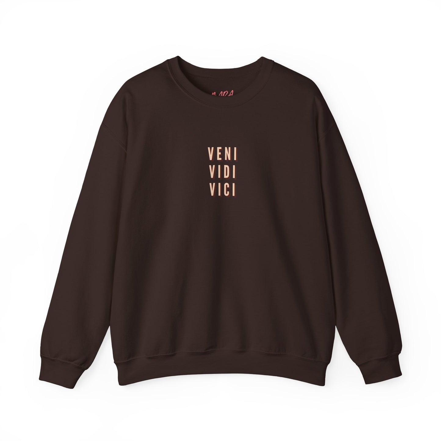 Brown sweatshirt with 'VENI VIDI VICI' text on a white background