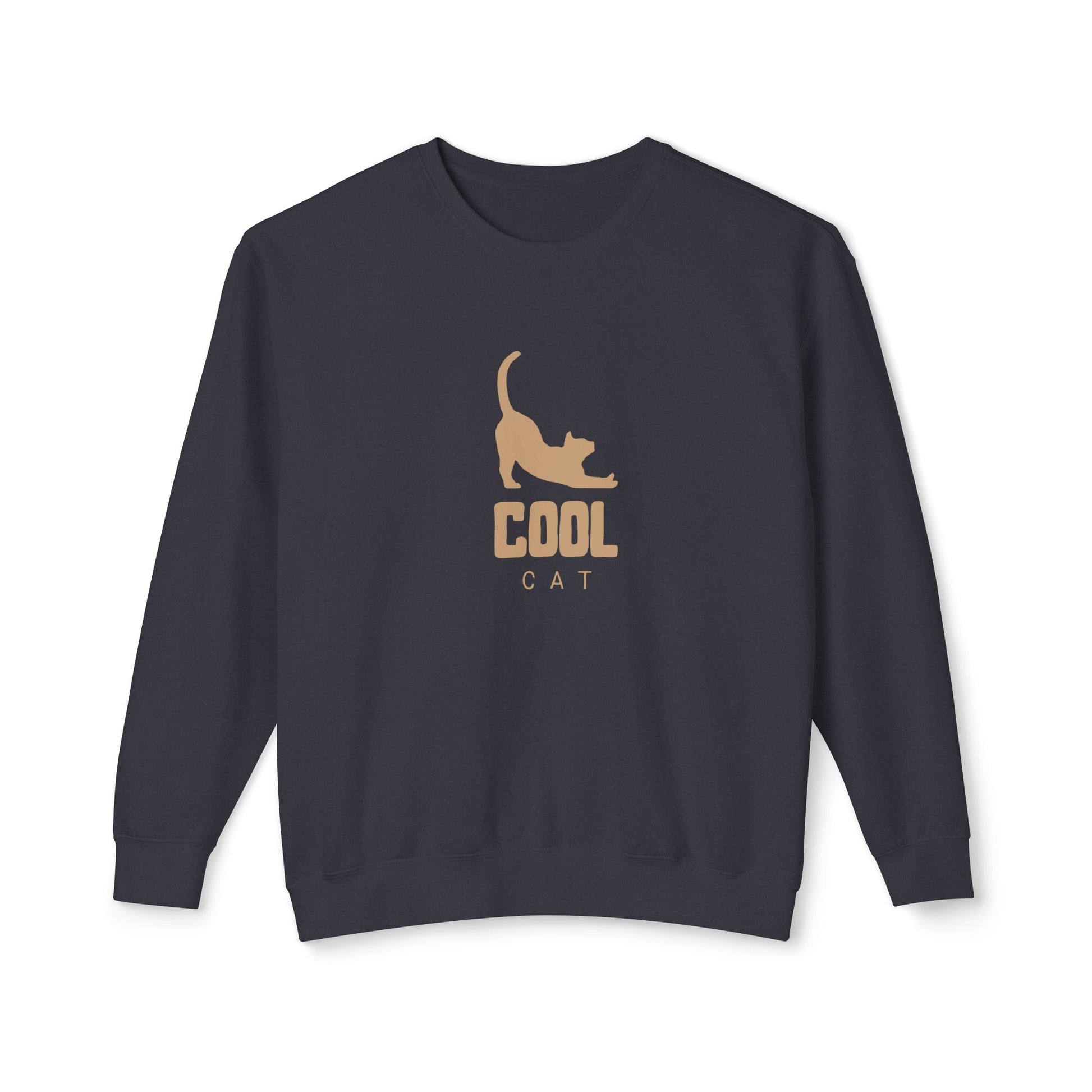 Navy blue sweatshirt with 'Cool Cat' text and cat graphic on a white background