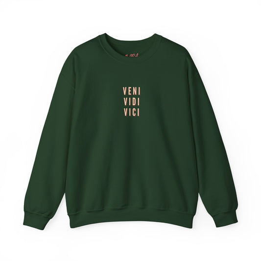 Green sweatshirt with 'Veni Vidi Vici' text on a white background