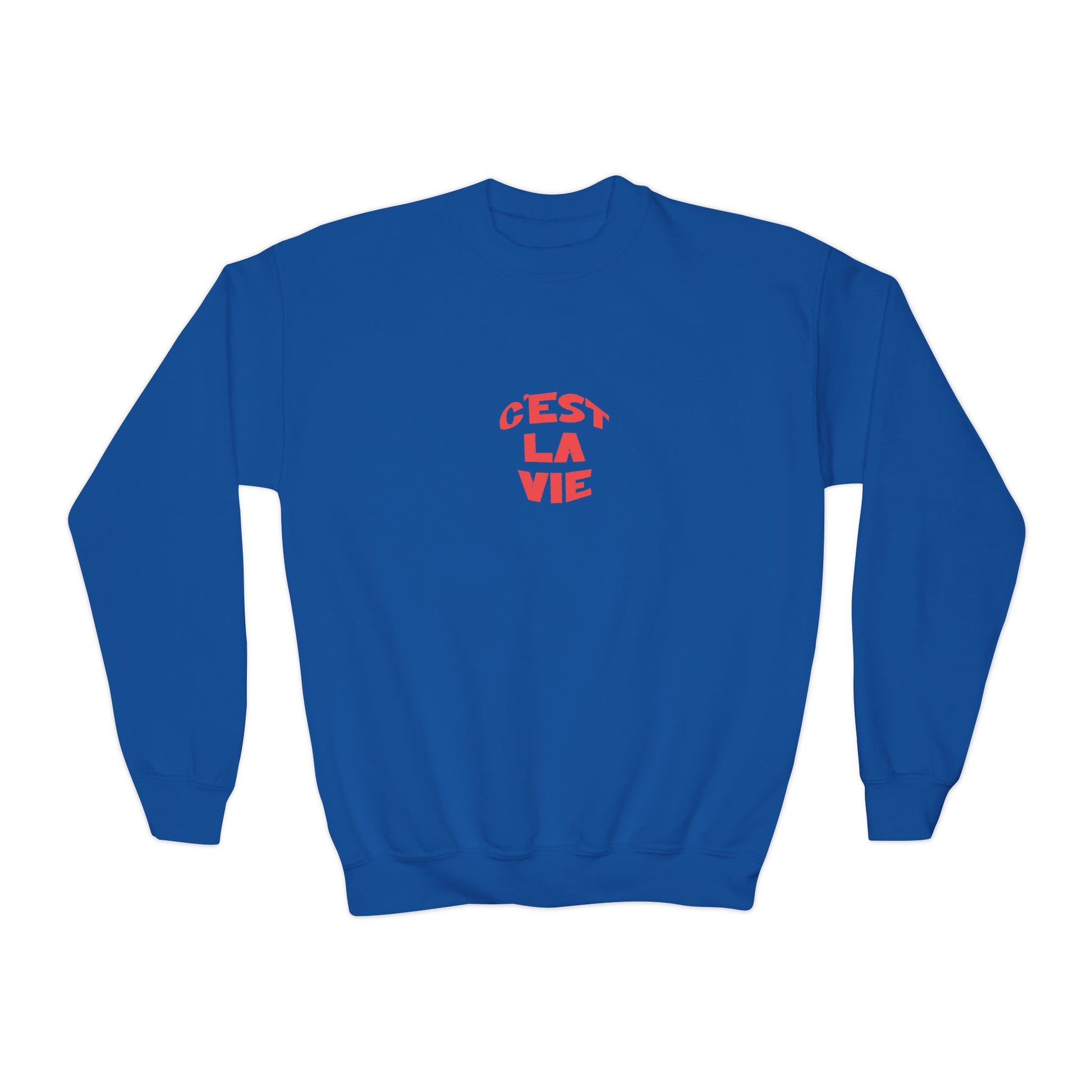 Blue sweatshirt with red text 'Cést La Vie' on a white background